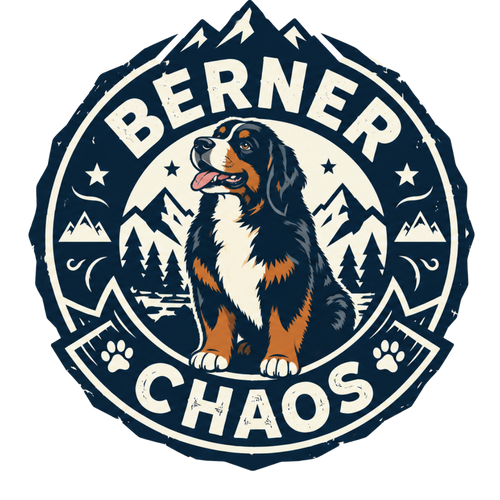 Berner Chaos